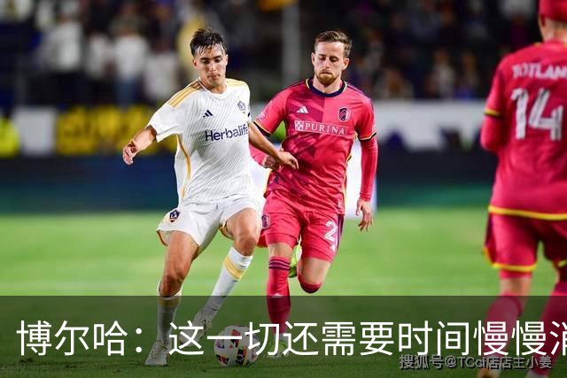 博尔哈：这一切还需要时间慢慢消化，但此刻我真的非常幸福