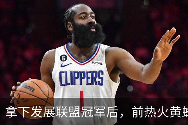 拿下发展联盟冠军后，前热火黄蜂后场大闸将转战德甲联赛？
